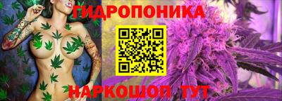 ГАЛЛЮЦИНОГЕННЫЕ ГРИБЫ Краснокаменск