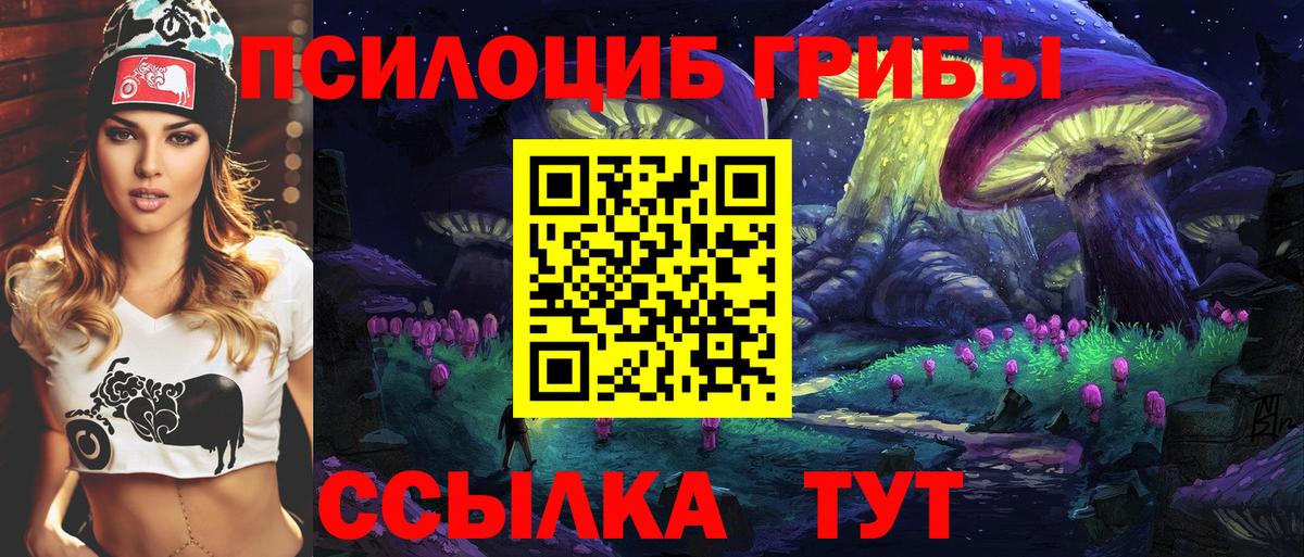 Йошкар-Ола  Псилоцибиновые грибы Psilocybine cubensis  Вход с VPN 