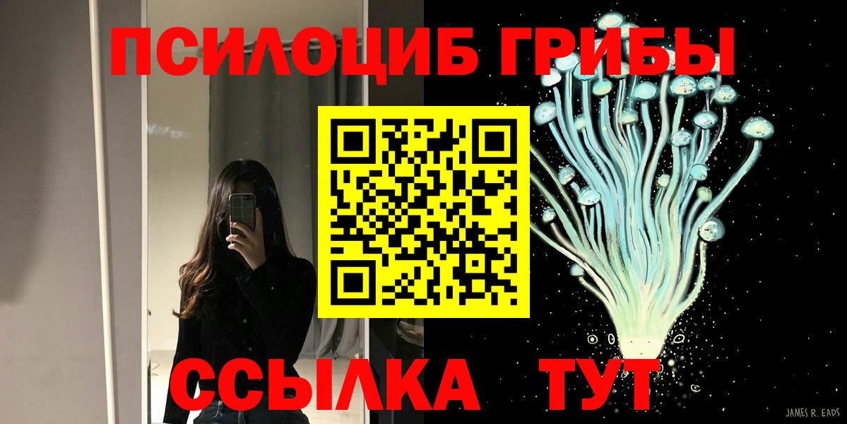 Псилоцибиновые грибы мицелий Йошкар-Ола